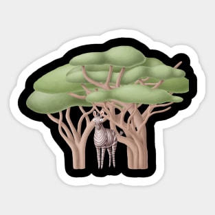 Cute zebra in safari Sticker